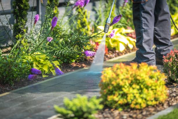 Best Boat and Dock Cleaning  in Riverdale Park, MD